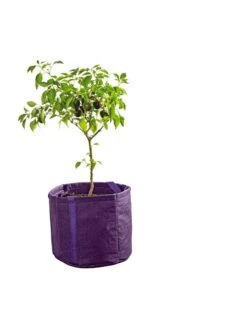 Gardener's Best® Universal Grow Bag 14 Gardener's Best® Universal Grow Bag -Garden Shop 8590024PR 249 tif