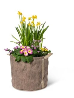 Gardener's Best® Universal Grow Bag 15 Gardener's Best® Universal Grow Bag -Garden Shop 8590024 7307 tif