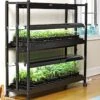 2-Tier SunLite® Garden -Garden Shop 8590049 2489 grow lights with two shelves large tif