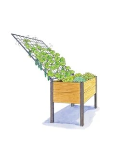 Elevated Planter Box And Space-Maker Pivoting Trellis Set, 2' X 4' -Garden Shop 8590247 SMTrellis 4ft tif