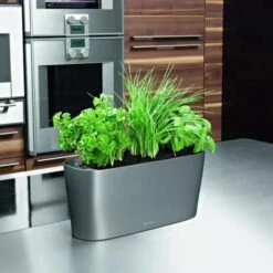 Lechuza® Delta Self-Watering Windowsill Planters -Garden Shop 8590298 02V tif