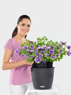 Lechuza® Nido Cottage Wicker Hanging Planter -Garden Shop 8591154GT 006V tif