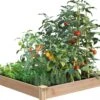 Cedar Raised Garden Bed, 4' X 4' X 6" 1 Cedar Raised Garden Bed, 4' X 4' X 6" -Garden Shop 8591724 01V tif