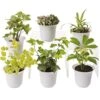 Low Light Terrarium Plant Collection, Set Of 6 -Garden Shop 8591770 3595 tif