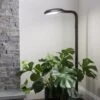 Agrobrite Floor Plant Lamp -Garden Shop 8592053 0215 tif