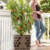 Gardener's Revolution® Tomato Planter -Garden Shop 8592159 406 001E tif