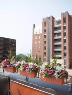 Adjustable Self-Watering Railing Planter, 24" -Garden Shop 8592173TC 2383 tif