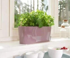 Lechuza® Delta Self-Watering Windowsill Planters -Garden Shop 8592361 01V tif