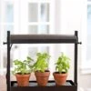 Micro Grow Light Garden -Garden Shop 8593235 2290 tif