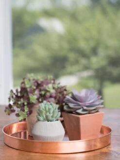 Large Round Copper Plant Tray, 14" -Garden Shop 8593531 4518 tif