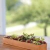 Rectangular Copper Plant Tray, 18"x4" 1 Rectangular Copper Plant Tray, 18"x4" -Garden Shop 8593532 4632 tif
