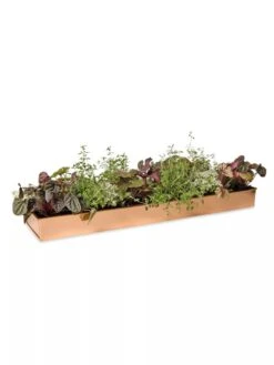 Rectangular Copper Plant Tray, 24" X 5" -Garden Shop 8593533 2878 tif