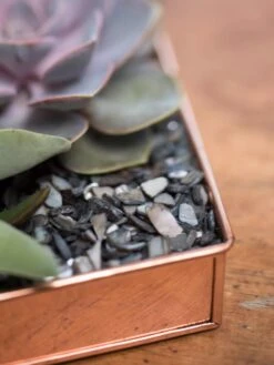 Rectangular Copper Plant Tray, 24" X 5" -Garden Shop 8593533 4570 tif