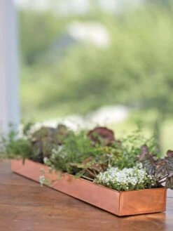 Rectangular Copper Plant Tray, 24" X 5" -Garden Shop 8593533 4626 tif