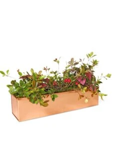 Tall Rectangular Copper Plant Tray, 18" X 5" X 4" -Garden Shop 8593534 2899 tif