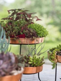 Small Round Copper Plant Tray, 10" -Garden Shop 8593564 4399 tif