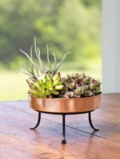 Extra Small Round Copper Plant Tray, 8" -Garden Shop 8593564 4641 001E tif