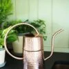 Copper Indoor Watering Can -Garden Shop 8593724 5369 tif