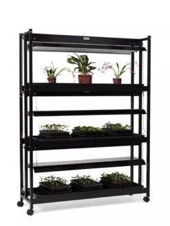 High Intensity 3-Tier SunLite® Garden -Garden Shop 8593944 1608 tif