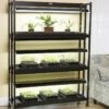 High Intensity 3-Tier SunLite® Garden -Garden Shop 8593944 1773 3 tier high intensity grow lights tif