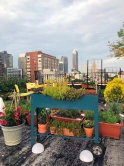 Demeter Mobile Planter Cart -Garden Shop 8594148 01CUST tif