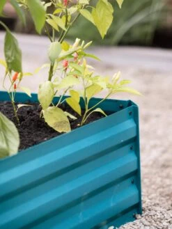 Demeter Corrugated Metal Raised Bed, 34" X 34" -Garden Shop 8594183 470 tif 1