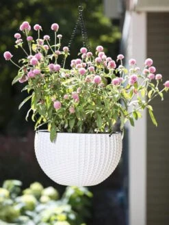 Weave Self-Watering Hanging Basket, 10" -Garden Shop 8594316 824 tif