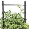 Gardener's Revolution® Classic Tomato Extension 1 Gardener's Revolution® Classic Tomato Extension -Garden Shop 8594367 0047 001E gardeners revolution classic tomato cage extension tif