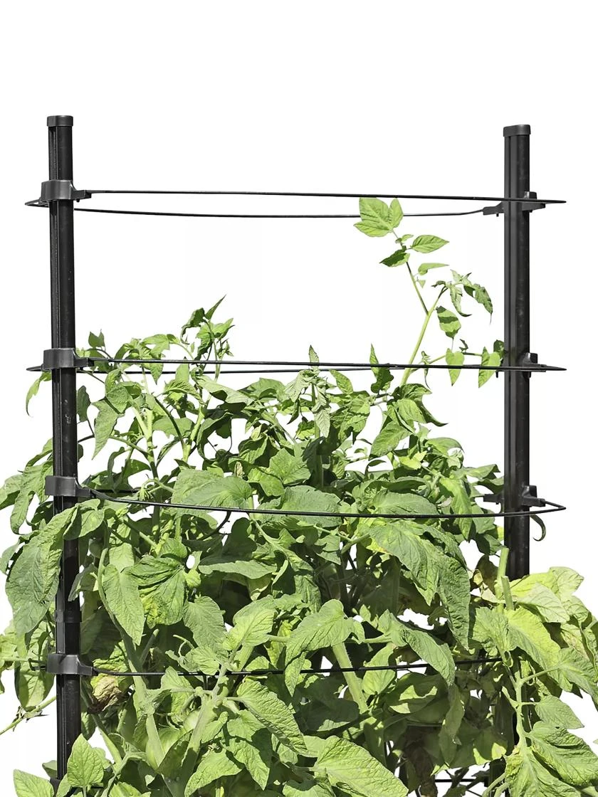 Gardener's Revolution® Classic Tomato Extension 3 Gardener's Revolution® Classic Tomato Extension