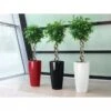 Lechuza® Rondo Self-Watering Planters 2 Lechuza® Rondo Self-Watering Planters -Garden Shop 8594586 01V tif