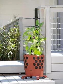 Gardener's Revolution® Tomato Planter -Garden Shop 8594743 2618 tif