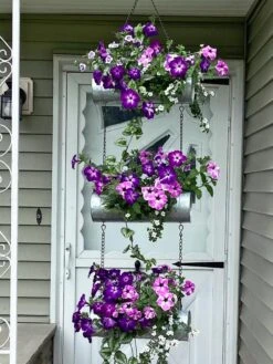 Galvanized Hanging Triple Planter -Garden Shop 8595213 02CUST tif