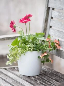 Viva Round Self-Watering Planter, 7" Diameter -Garden Shop 8595222 1139 tif