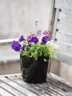 Viva Round Self-Watering Planter, 7" Diameter -Garden Shop 8595222 1140 tif