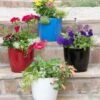 Viva Round Self-Watering Planter, 7" Diameter -Garden Shop 8595222 5302 tif