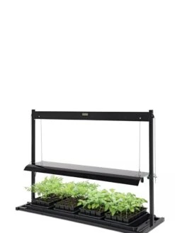 LED SunLite® Tabletop Garden -Garden Shop 8595552 10125 tif