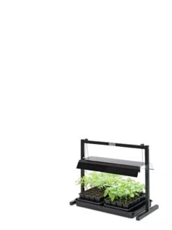 LED SunLite® Compact Tabletop Garden -Garden Shop 8595555 10136 tif