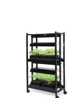 LED SunLite® Compact 2-Tier Garden 12 LED SunLite® Compact 2-Tier Garden -Garden Shop 8595556 10132 tif