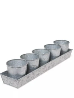 Galvanized Herb Planters With Rectangular Tray -Garden Shop 8595903 3924 tif