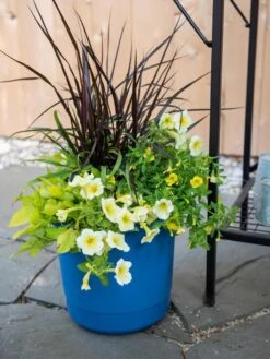 Garden Shop -Garden Shop 8596427 0035 tif