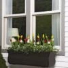 Valencia Window Box, 3' -Garden Shop 8596436 7496 tif