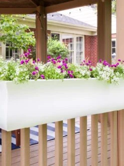 Valencia Window Box, 4' -Garden Shop 8596437 006V tif