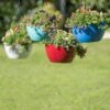 Viva Self-Watering Hanging Basket, 14" Diameter -Garden Shop 8596442 0851 tif