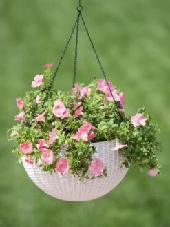 Weave Self-Watering Hanging Basket, 14" -Garden Shop 8596490 10304 tif