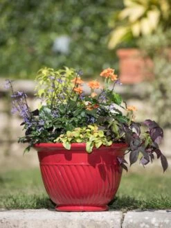 Mazzano Self-Watering Planters 13 Mazzano Self-Watering Planters -Garden Shop 8596564 4883 tif