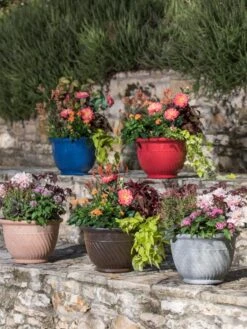 Mazzano Self-Watering Planters 11 Mazzano Self-Watering Planters -Garden Shop 8596570 4963 tif