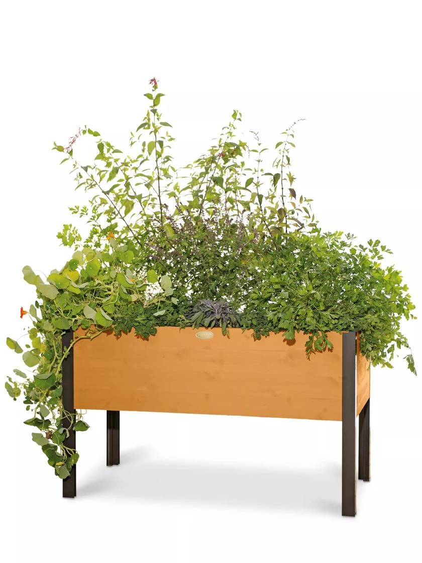 Eco-Stained Elevated Planter Box, 2'x4' 10 Eco-Stained Elevated Planter Box, 2'x4' - Image 8