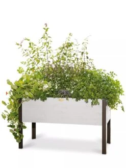 Eco-Stained Elevated Planter Box, 2'x4' 15 Eco-Stained Elevated Planter Box, 2'x4' -Garden Shop 8596759 3837 tif