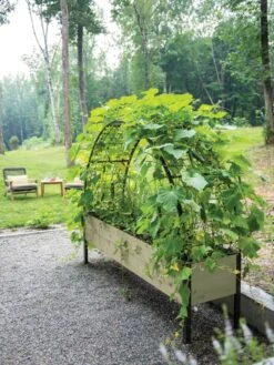 Self-Watering Elevated Planter Box, 2' X 8' 27 Self-Watering Elevated Planter Box, 2' X 8' -Garden Shop 8596760 0046 tif 1