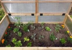 Garden In A Box Cedar Raised Bed With Greenhouse, 3' X 6' 10 Garden In A Box Cedar Raised Bed With Greenhouse, 3' X 6' -Garden Shop 8597082 03V tif